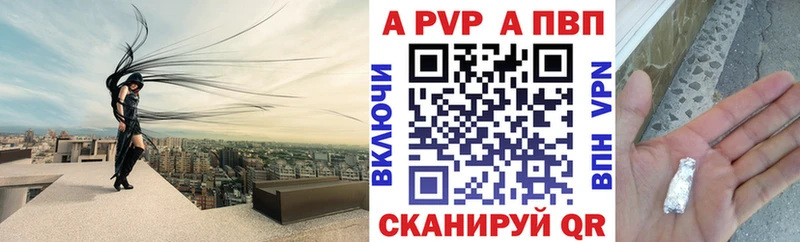 A PVP СК КРИС Брянск