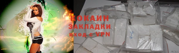 соль ск Абаза