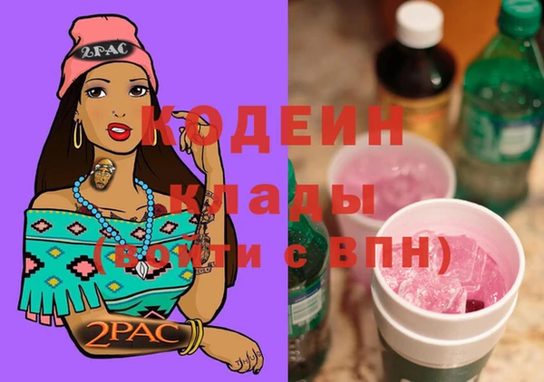 соль ск Абаза