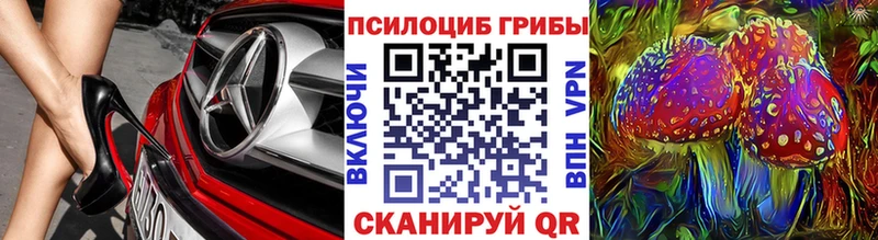 Галлюциногенные грибы Psilocybine cubensis  где купить наркотик  Брянск 