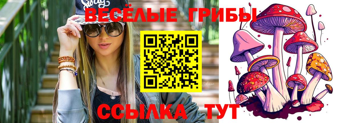 Галлюциногенные грибы Psilocybe Брянск