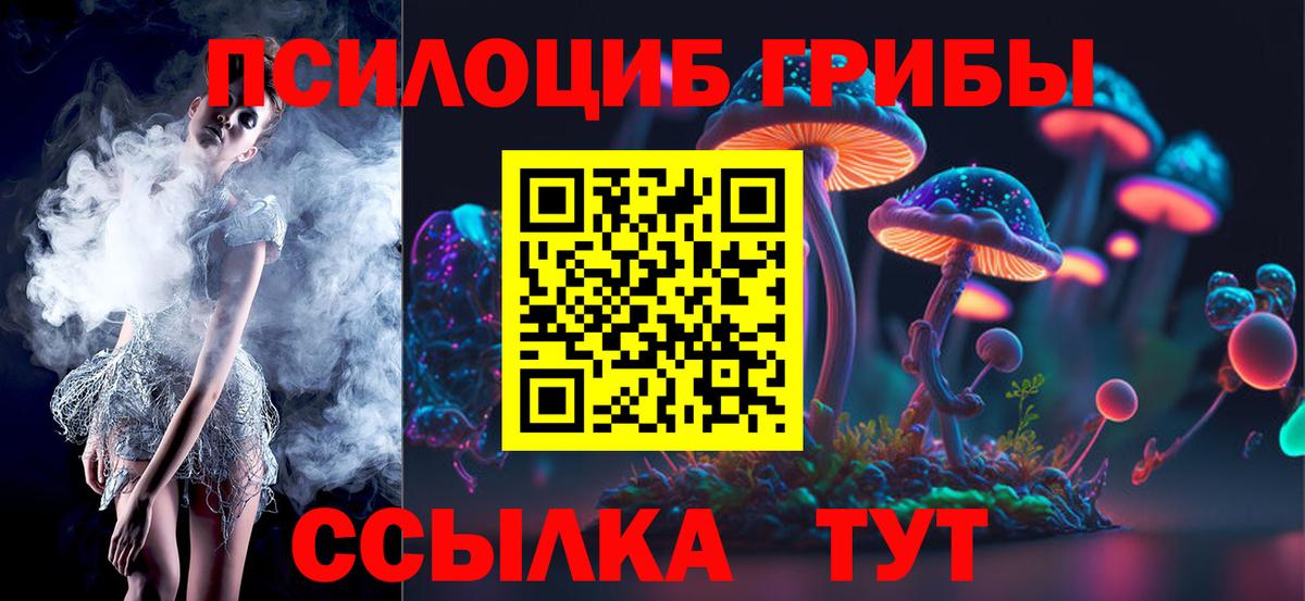 Брянск  Галлюциногенные грибы Magic Shrooms  Вход с VPN 