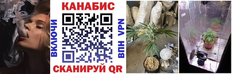 как найти закладки  Брянск  МАРИХУАНА VHQ 